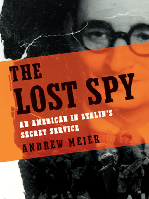 Title details for The Lost Spy by Andrew Meier - Wait list